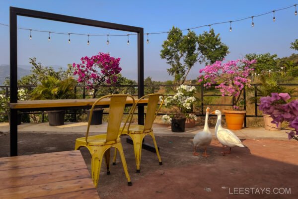 Glass rooms with sleeping loft at Pawna lake-10